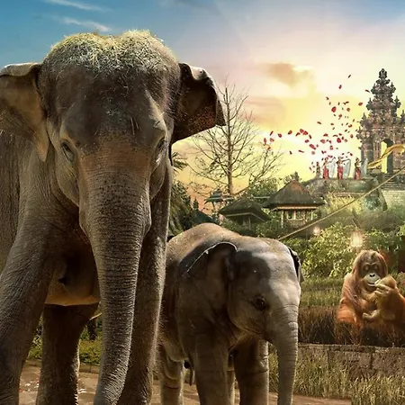 Prázdninový dům Comfortable House G00gle-shape- Chievres Air Base