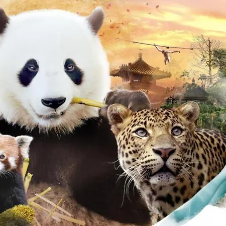 Prázdninový dům Comfortable House G00gle-shape- Chievres Air Base *